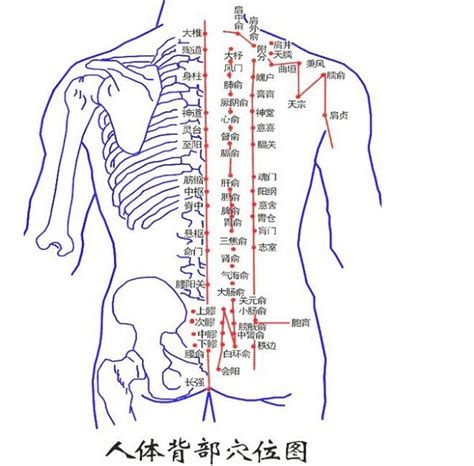 背后痣|后背有痣命苦是吗？